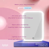 Mini Makeup Fridge Portable Cosmetic